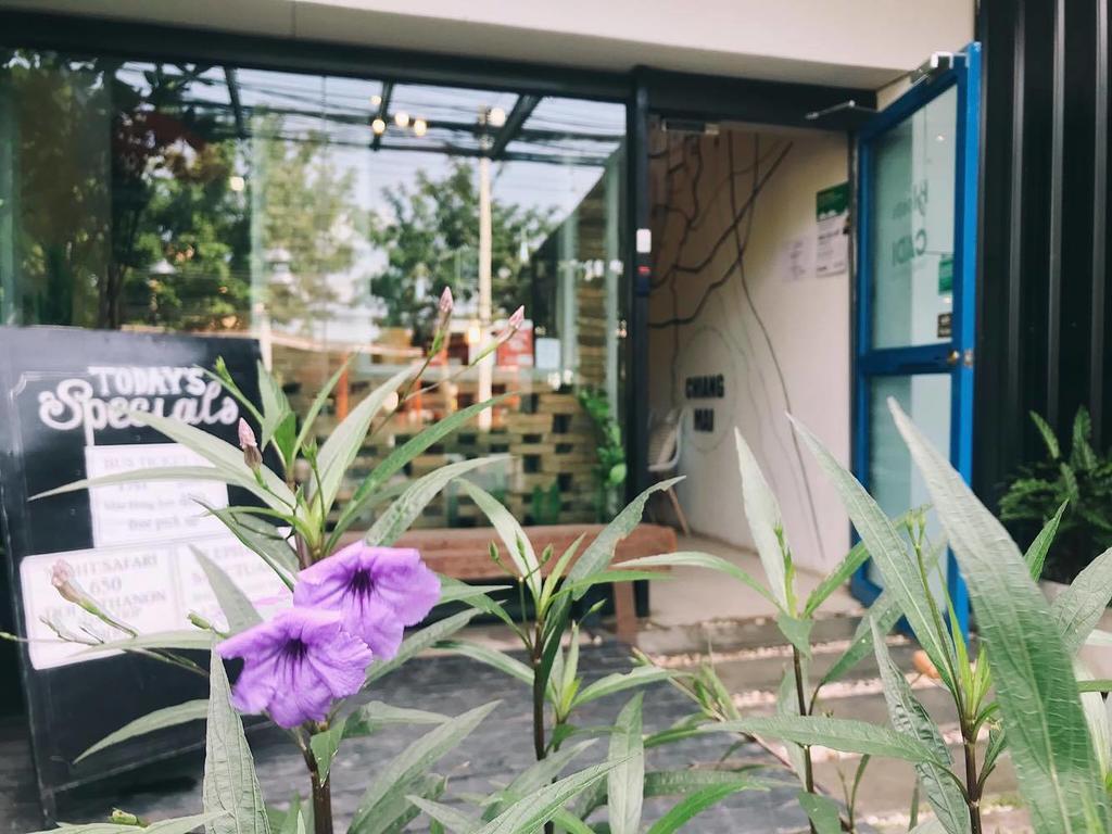 Bloomz Hostel Chiang Mai Dış mekan fotoğraf